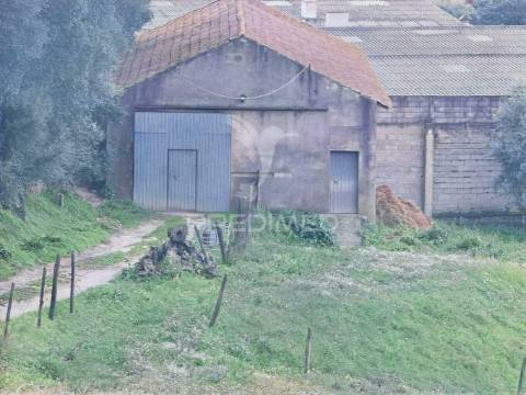 Terreno urbano com pavilhão, monsanto / alcanena