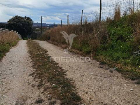 Terreno urbano com pavilhão, monsanto / alcanena