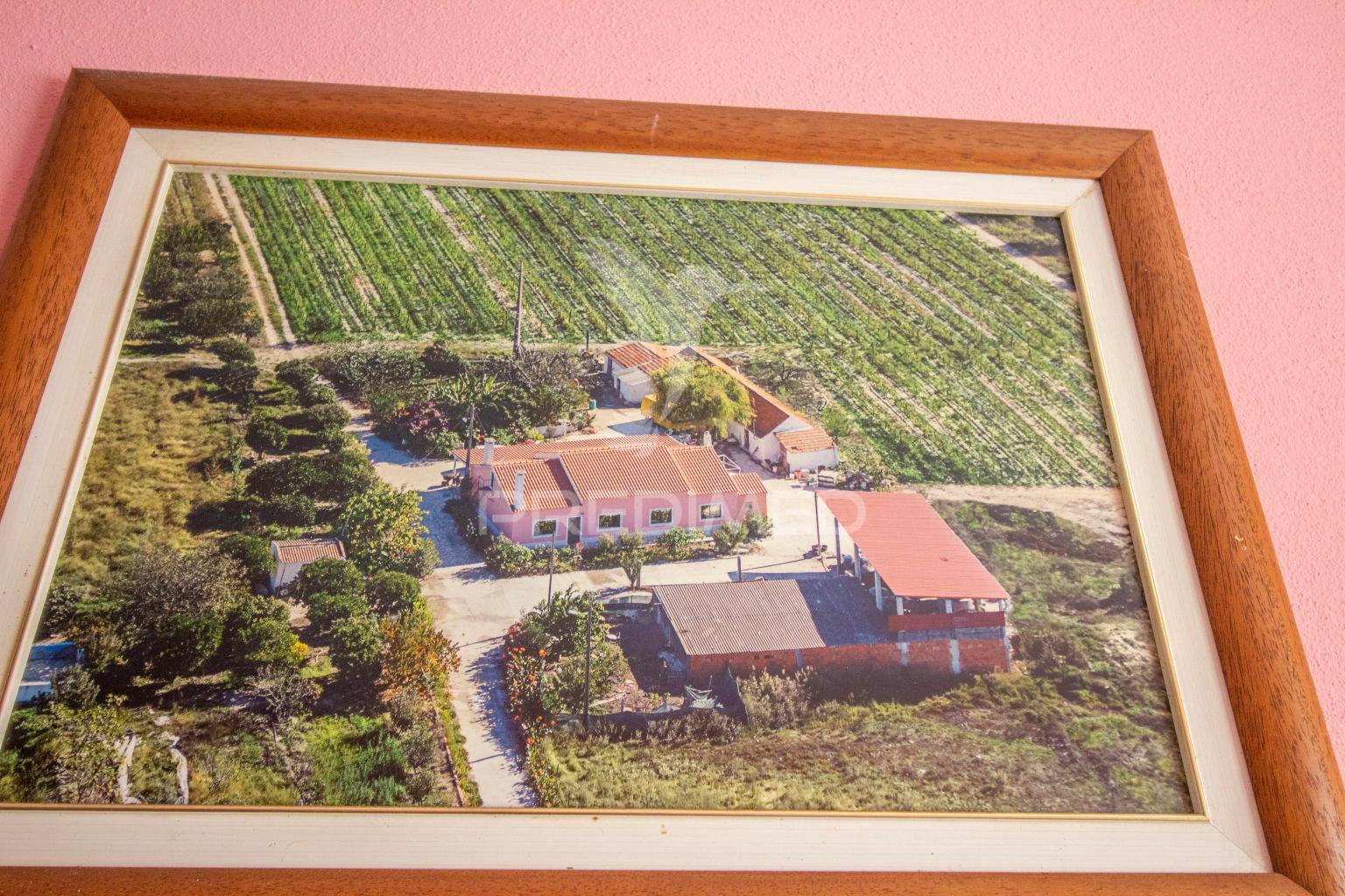 Herdade vinícola na zona do poceirão