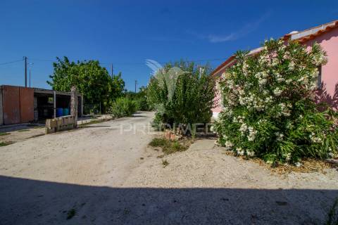 Herdade vinícola na zona do poceirão