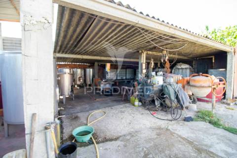 Herdade vinícola na zona do poceirão