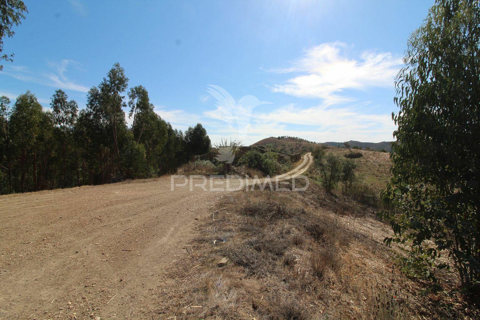 Herdade de 94 hectares em são marcos da serra - algarve