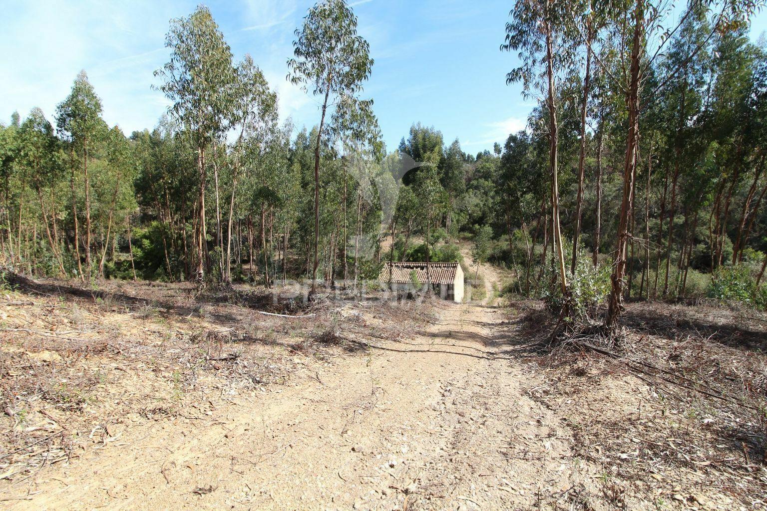 Herdade de 94 hectares em são marcos da serra - algarve