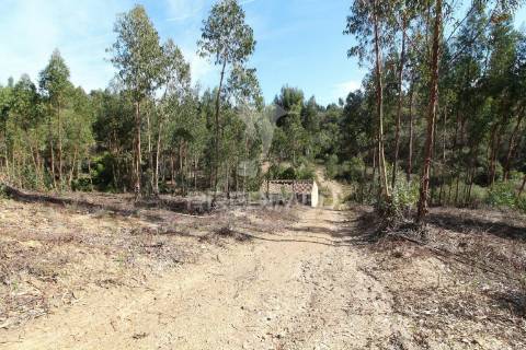 Herdade de 94 hectares em são marcos da serra - algarve