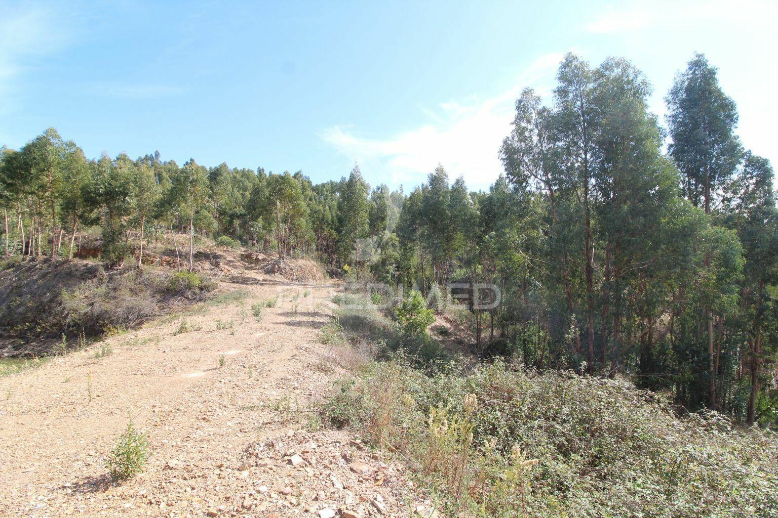 Herdade de 94 hectares em são marcos da serra - algarve
