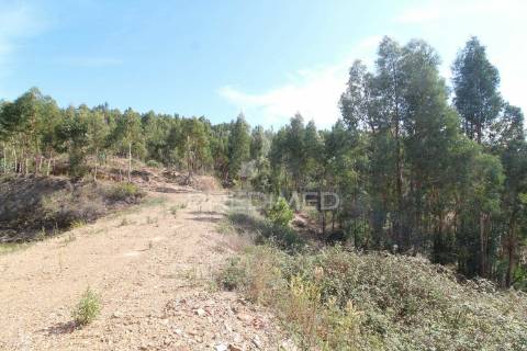 Herdade de 94 hectares em são marcos da serra - algarve