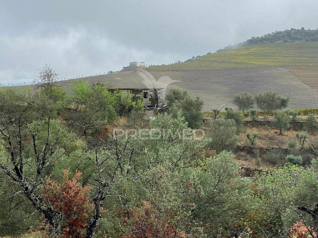 Quintinha no alto douro vinhateiro