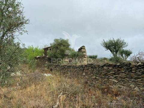 Quintinha no alto douro vinhateiro