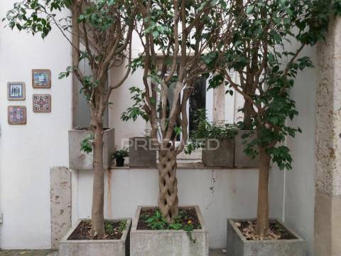 Charming t3+3 | patio 35m2 | chiado