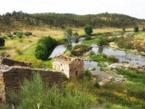 Magnifica herdade 39.700 hect com artigo urbano