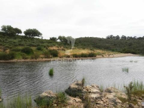 Magnifica herdade 39.700 hect com artigo urbano