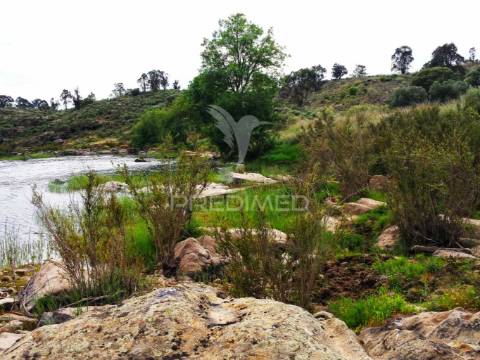 Magnifica herdade 39.700 hect com artigo urbano