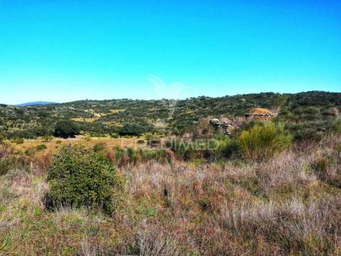 Magnifica herdade 39.700 hect com artigo urbano