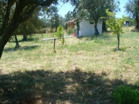 Excelente oportunidade terreno misto com ruina, constância