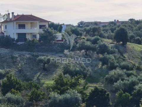Moradia t3 com terreno, alcanhões / santarém