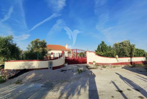 Moradia t3 com terreno, alcanhões / santarém