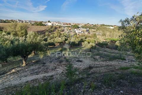 Moradia t3 com terreno, alcanhões / santarém