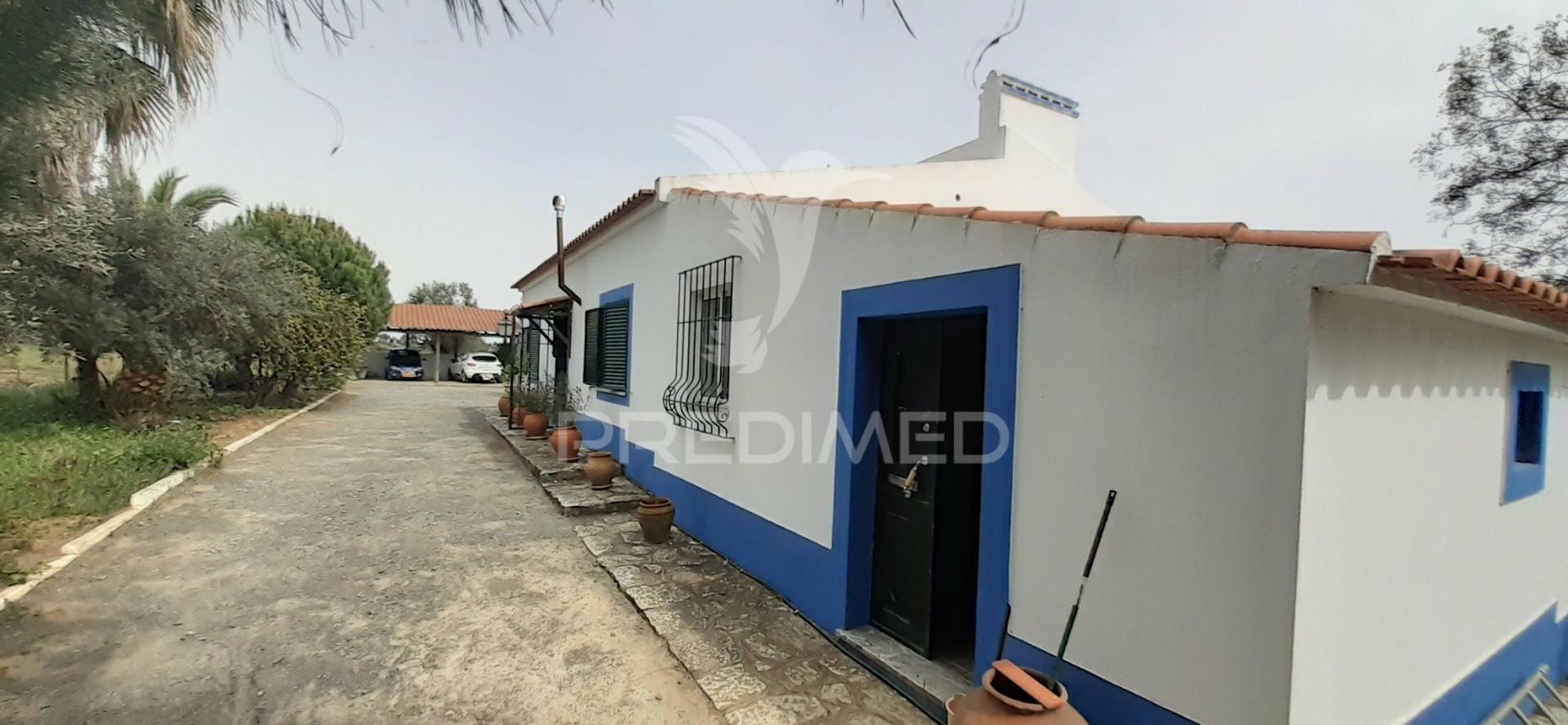 Quinta com 1,275ha com moradia t3 em alvito