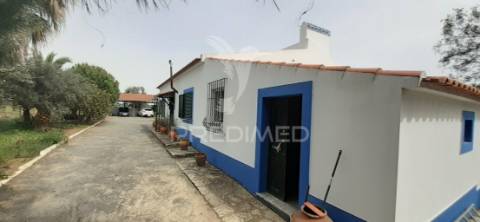 Quinta com 1,275ha com moradia t3 em alvito