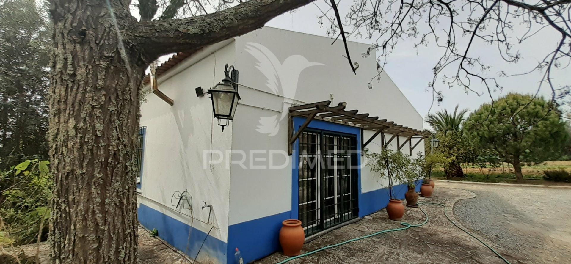 Quinta com 1,275ha com moradia t3 em alvito