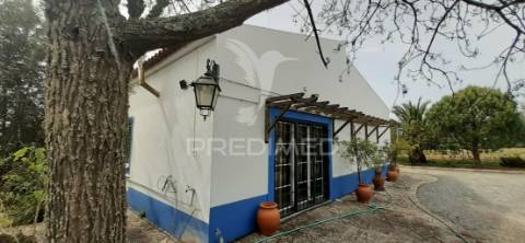 Quinta com 1,275ha com moradia t3 em alvito