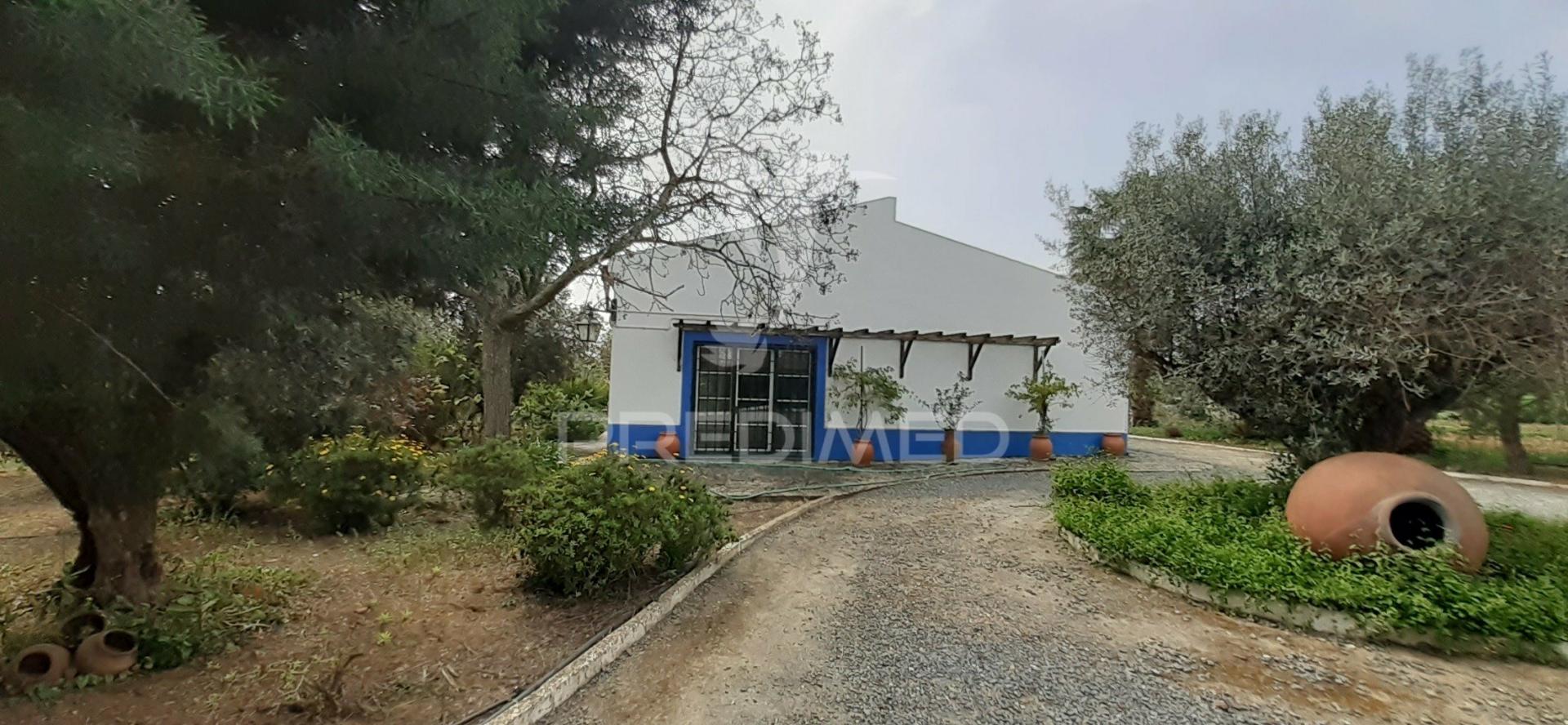 Quinta com 1,275ha com moradia t3 em alvito