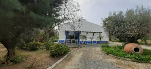 Quinta com 1,275ha com moradia t3 em alvito