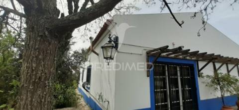 Quinta com 1,275ha com moradia t3 em alvito