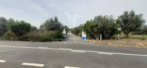 Quinta com 1,275ha com moradia t3 em alvito