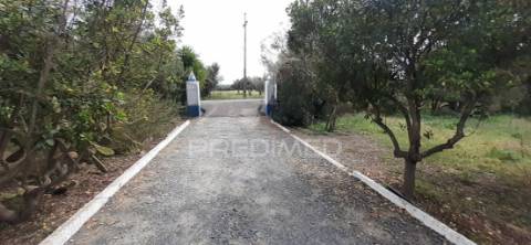 Quinta com 1,275ha com moradia t3 em alvito