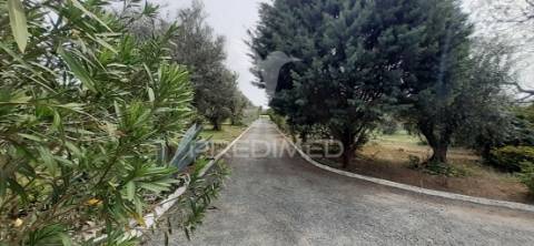 Quinta com 1,275ha com moradia t3 em alvito