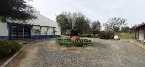 Quinta com 1,275ha com moradia t3 em alvito