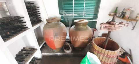 Quinta com 1,275ha com moradia t3 em alvito