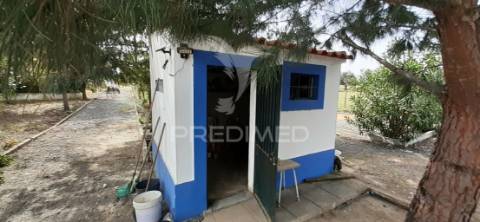 Quinta com 1,275ha com moradia t3 em alvito