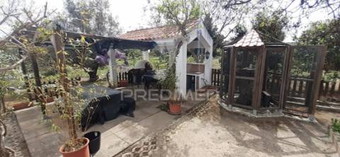 Quinta com 1,275ha com moradia t3 em alvito