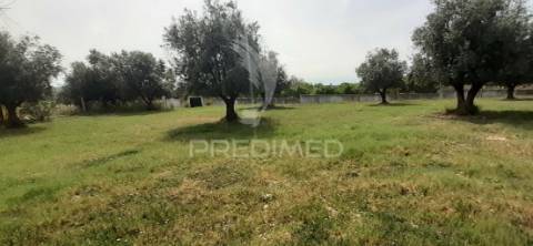 Quinta com 1,275ha com moradia t3 em alvito
