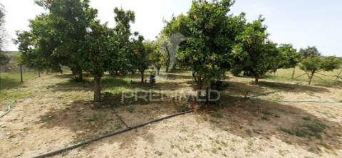 Quinta com 1,275ha com moradia t3 em alvito