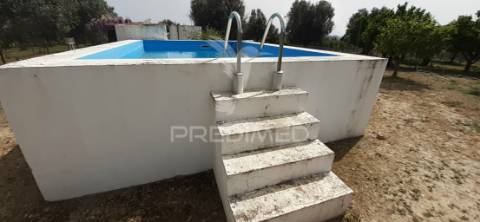 Quinta com 1,275ha com moradia t3 em alvito