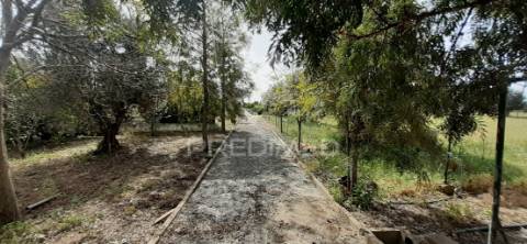 Quinta com 1,275ha com moradia t3 em alvito