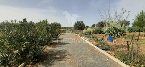 Quinta com 1,275ha com moradia t3 em alvito