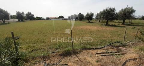 Quinta com 1,275ha com moradia t3 em alvito