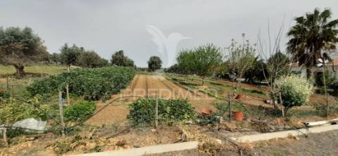 Quinta com 1,275ha com moradia t3 em alvito
