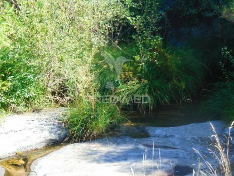 Terreno com 2 ha junto à e322 em alijó / vila real