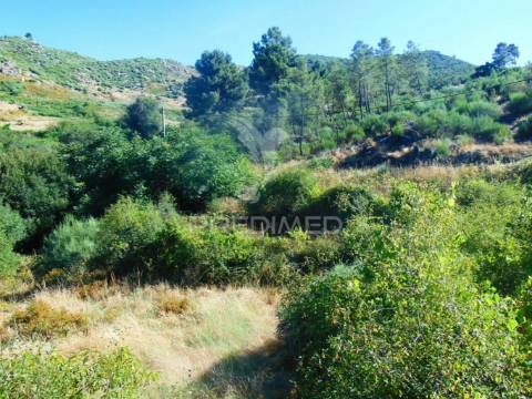 Terreno com 2 ha junto à e322 em alijó / vila real