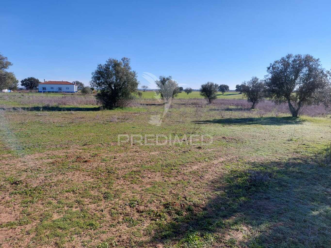 Terreno agrícola