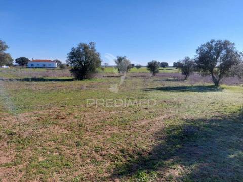 Terreno agrícola