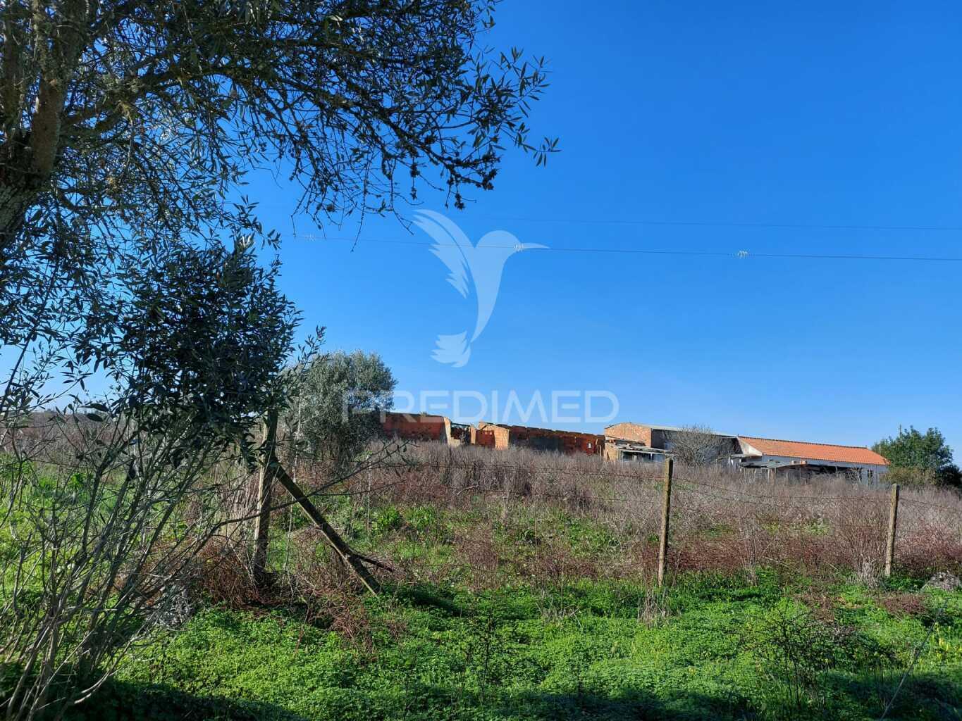 Terreno agrícola