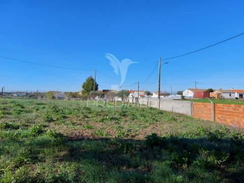 Terreno agrícola
