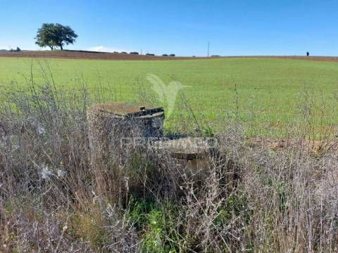 Terreno agrícola