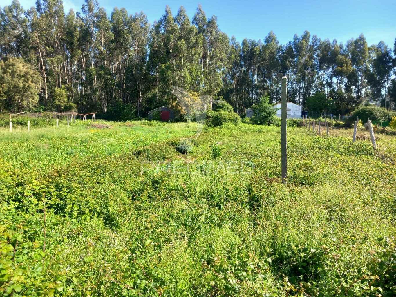 Terreno rústico com casa de madeira